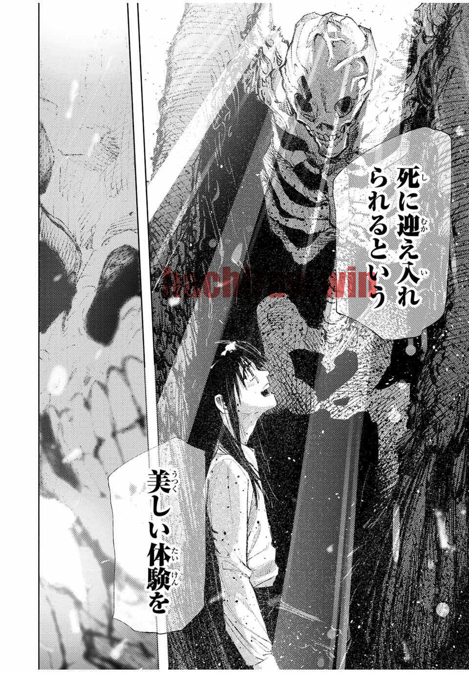 img 5