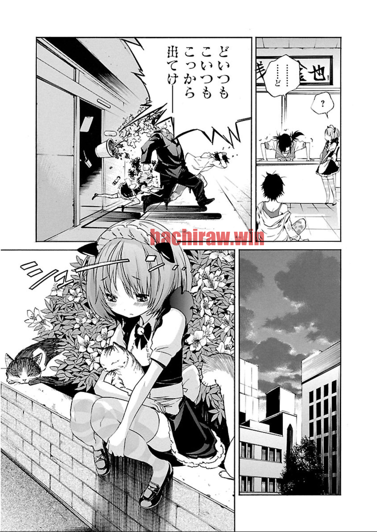 img 6