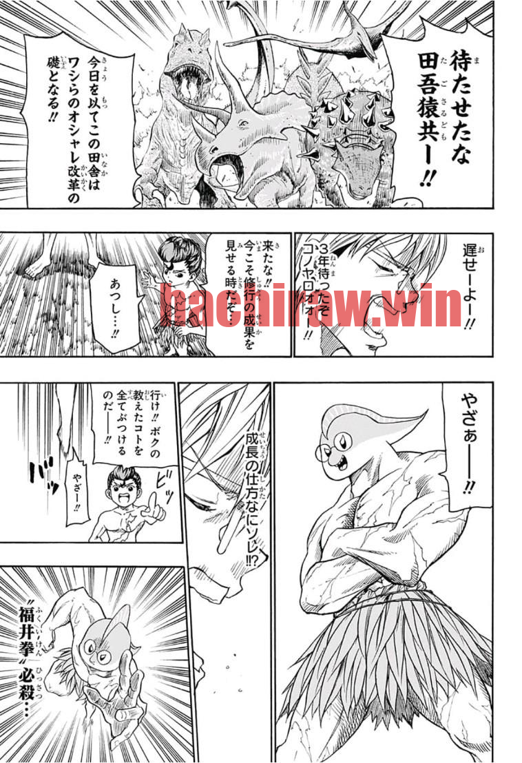 img 14
