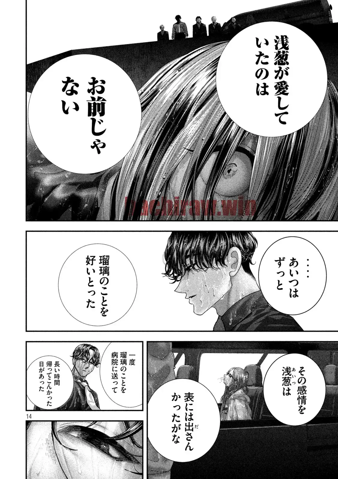img 14