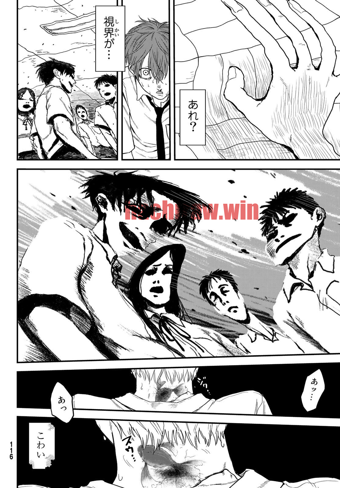 img 13