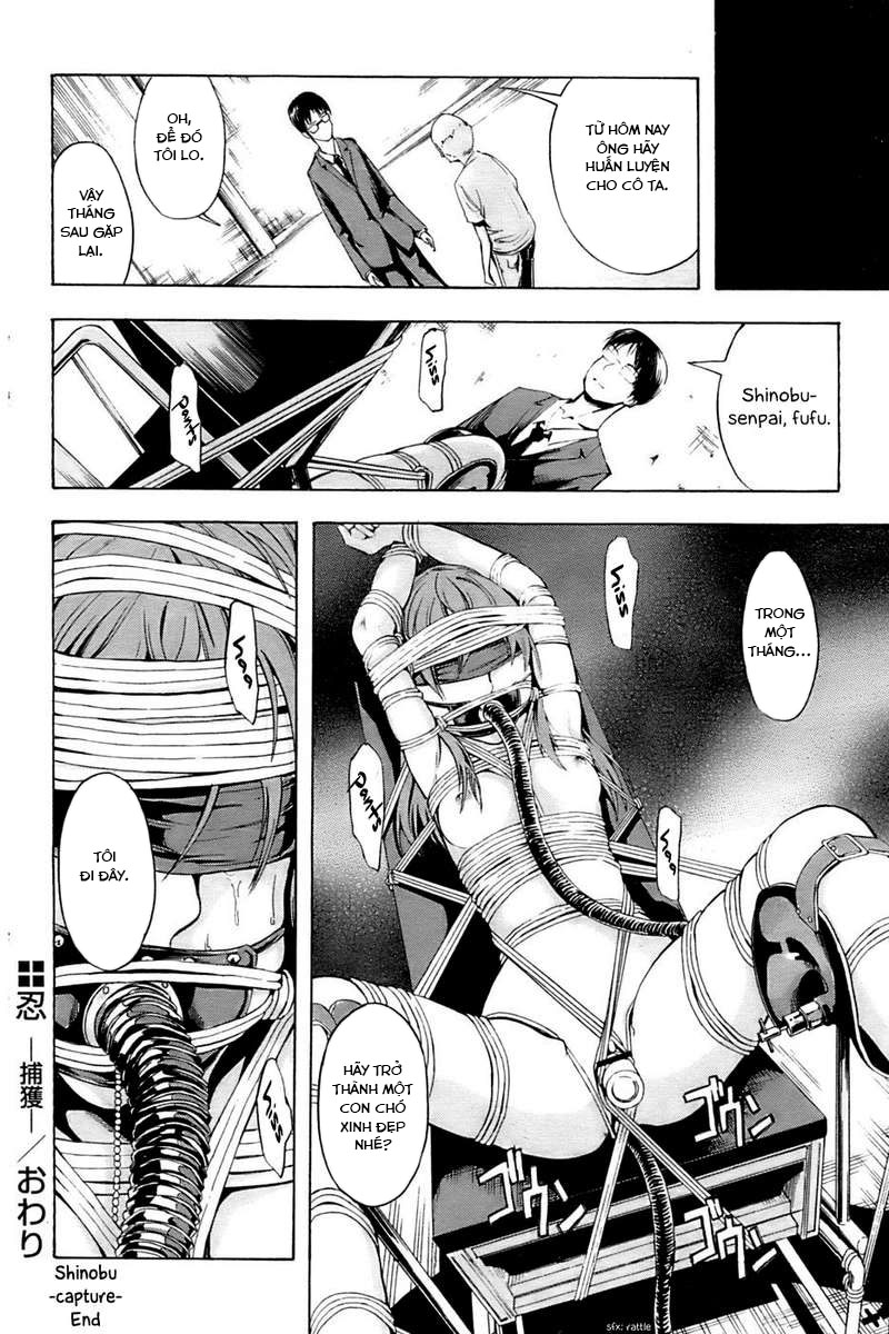 Đọc truyện hentai Shinobu - Chap 1