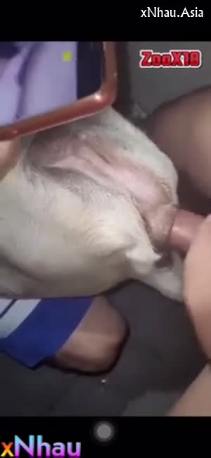 Cặc to đụ siêu nứng (Cặc to đụ siêu nứng) []