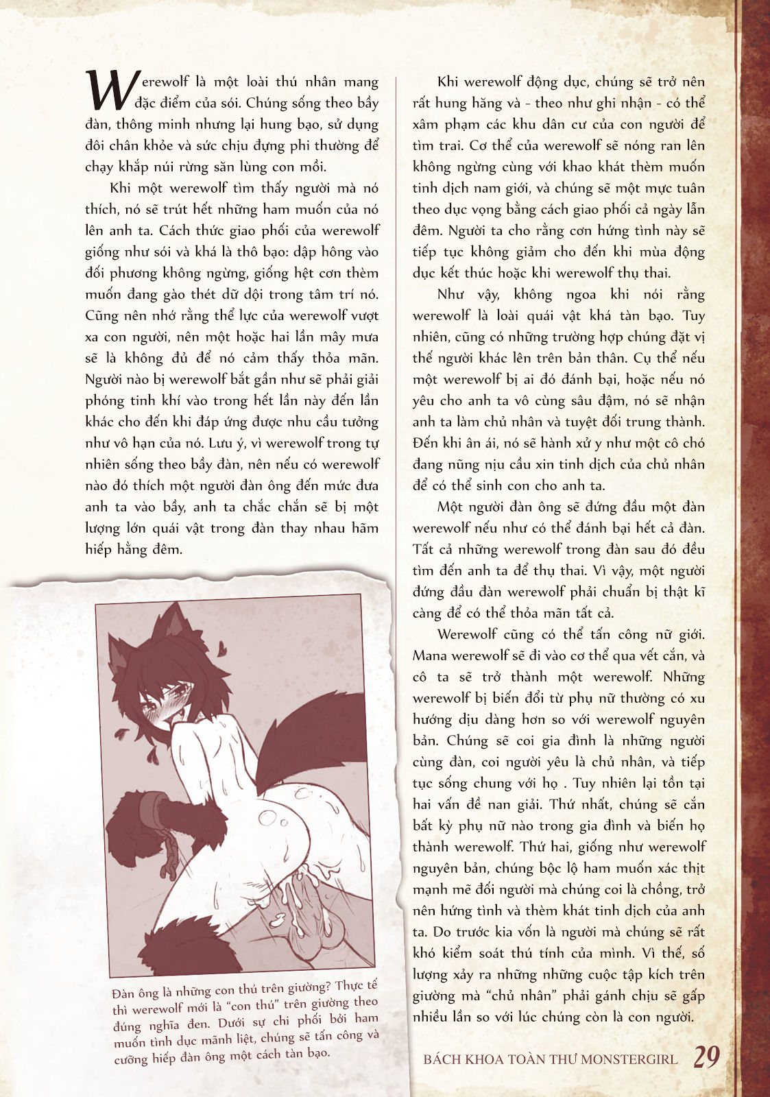 Đọc truyện hentai Bách khoa toàn thư Monstergirl - 008 - 009 - 010 - 011: Werewolf, Werecat, Wererabbit và Weresheep