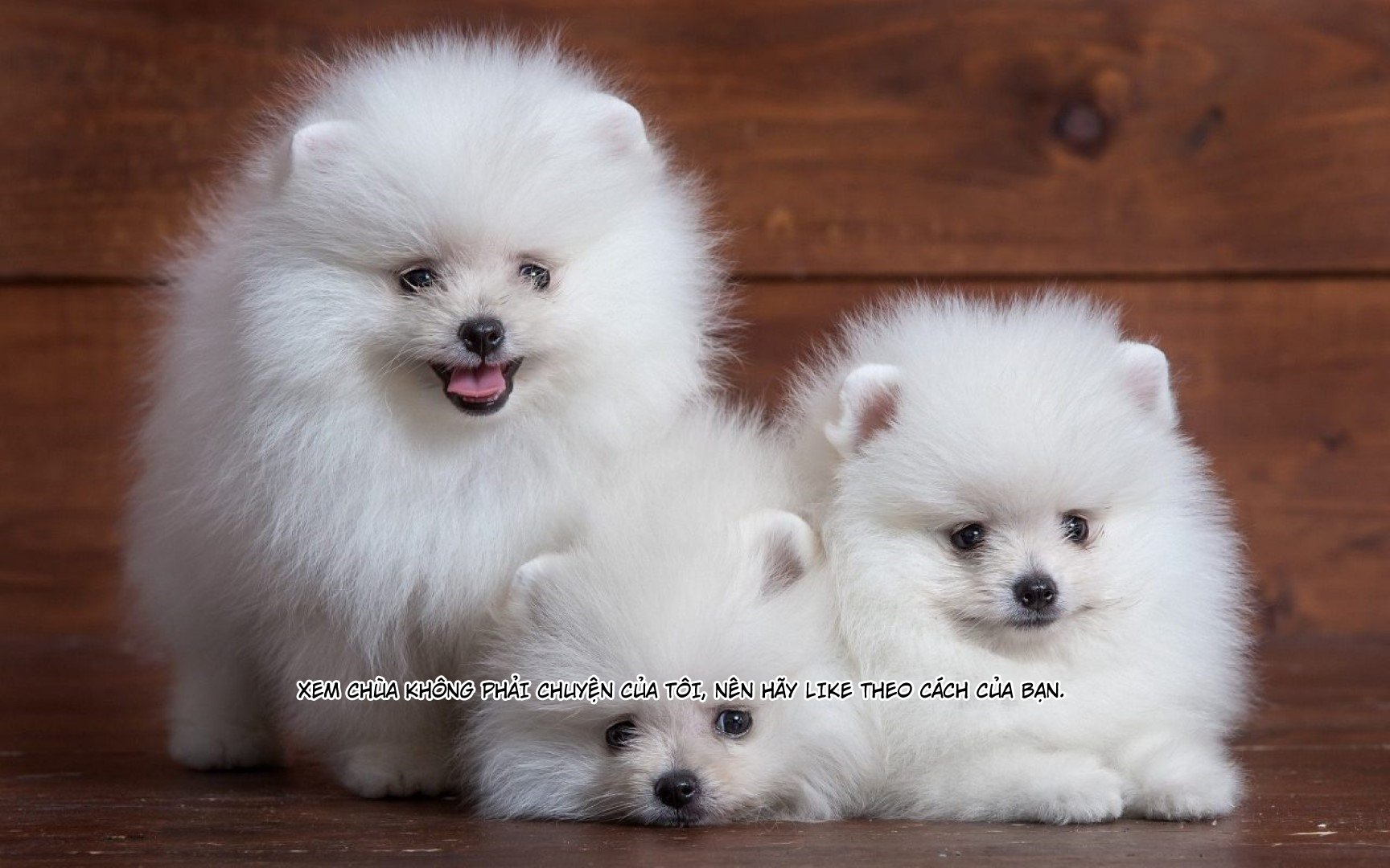 Đọc truyện hentai My first job - Oneshot sếch Mihato