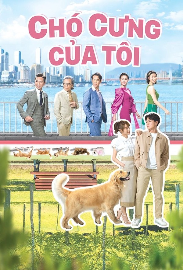 Chó Cưng Của Tôi