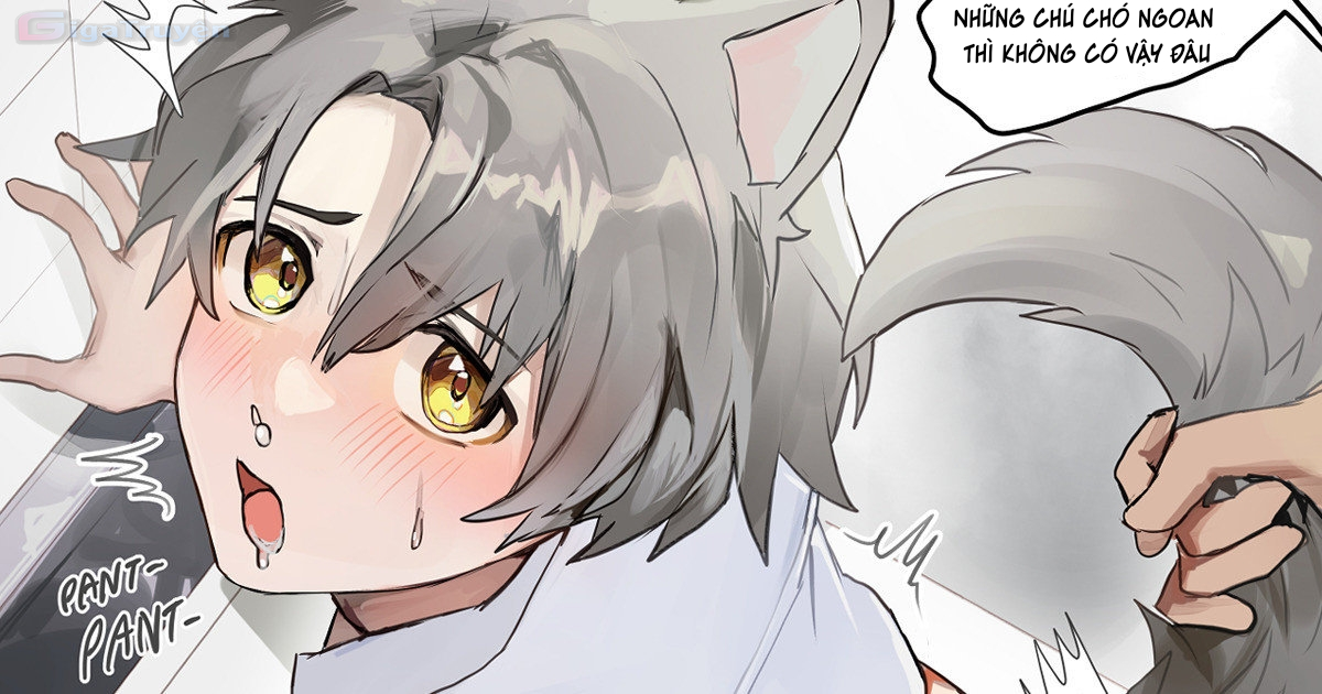 Đọc truyện hentai Huấn luyện người mới - Chương 1