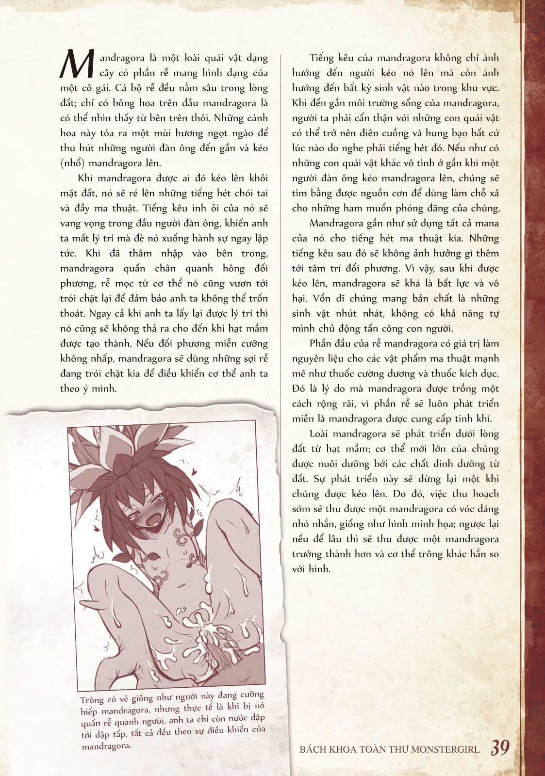 Đọc truyện hentai Bách khoa toàn thư Monstergirl - 013: Mandragora