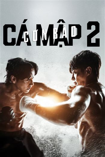 Cá Mập 2 Cơn Bão