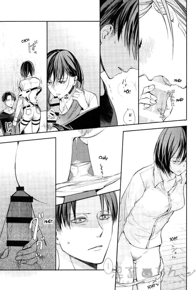 Đọc truyện hentai Ánh sáng phía bên kia (Shingeki no Kyojin) - Oneshot