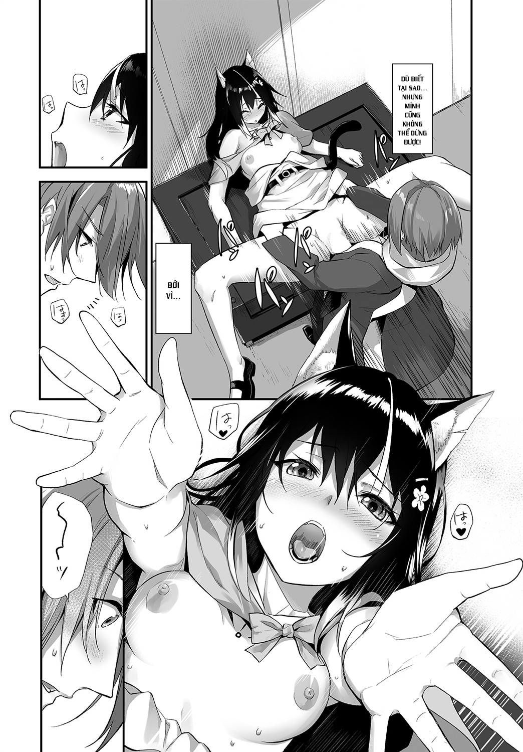 Đọc truyện hentai Nô lệ tai mèo - Chap 13