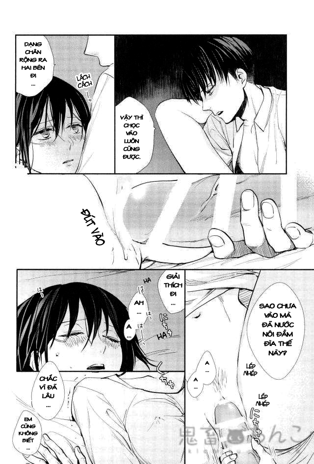 Đọc truyện hentai Ánh sáng phía bên kia (Shingeki no Kyojin) - Oneshot