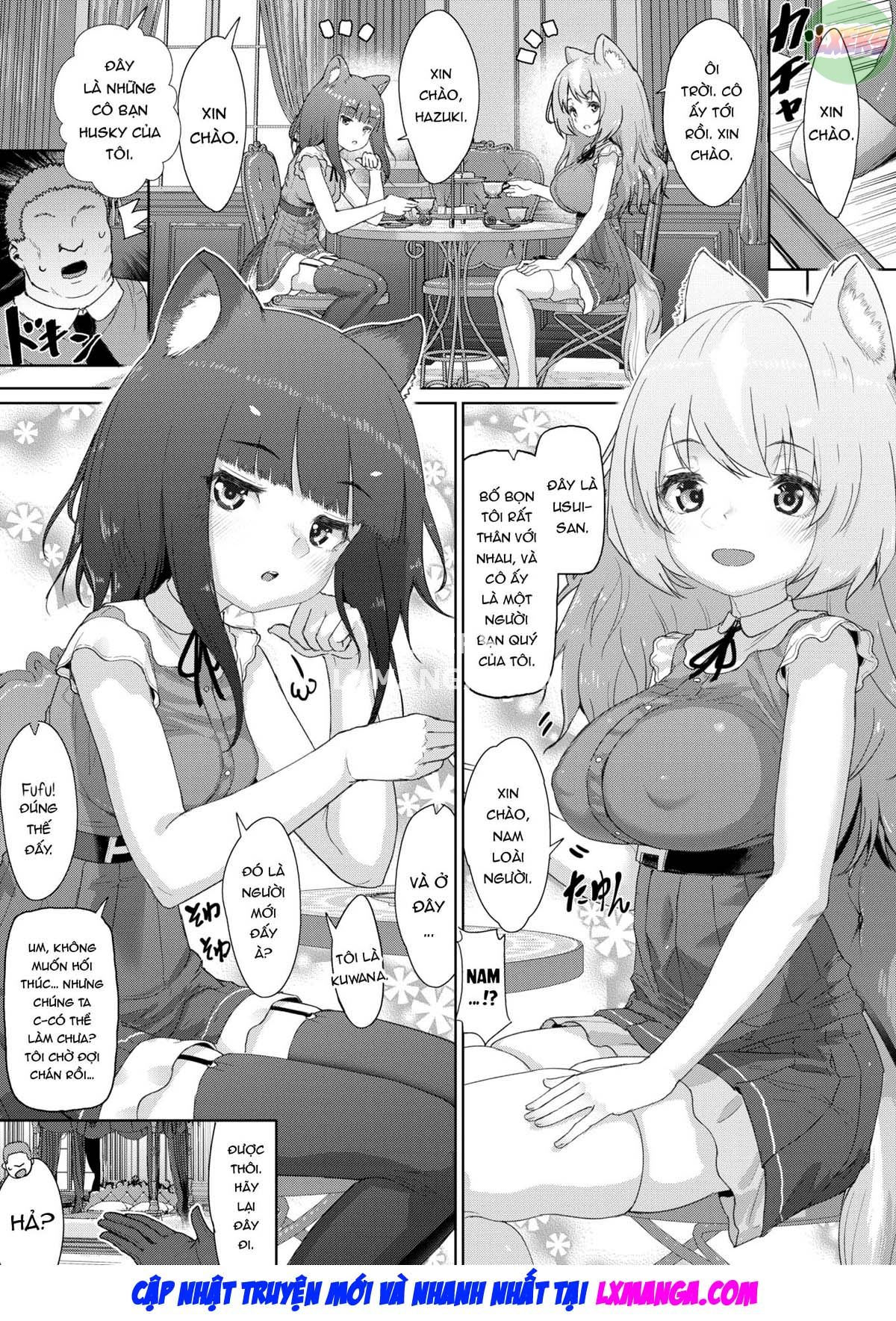 Đọc truyện hentai Đồ chơi tình dục của các cô gái tai thú - Oneshot