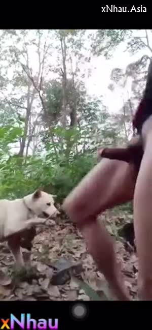 Ra vườn chịch 2 em chó cái (Ra vườn chịch 2 em chó cái) []
