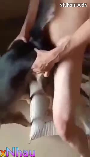 Quan hệ với chó (Quan hệ với chó) []