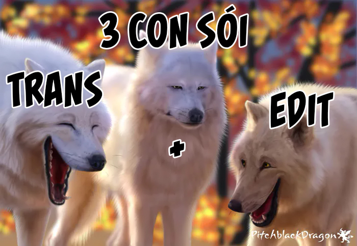 Đọc truyện hentai Nhật ký hoán đổi thường thức - Chap 4: Hội bạn cẩu huyết karaoke