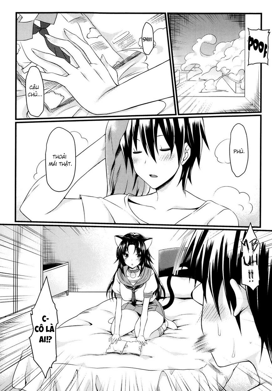 Đọc truyện hentai Câu chuyện về mèo và bạn - Oneshot