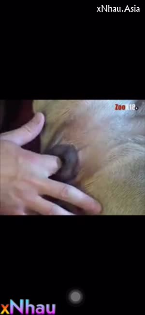 Sưu tầm 4 4 (Sưu tầm 4 4) []