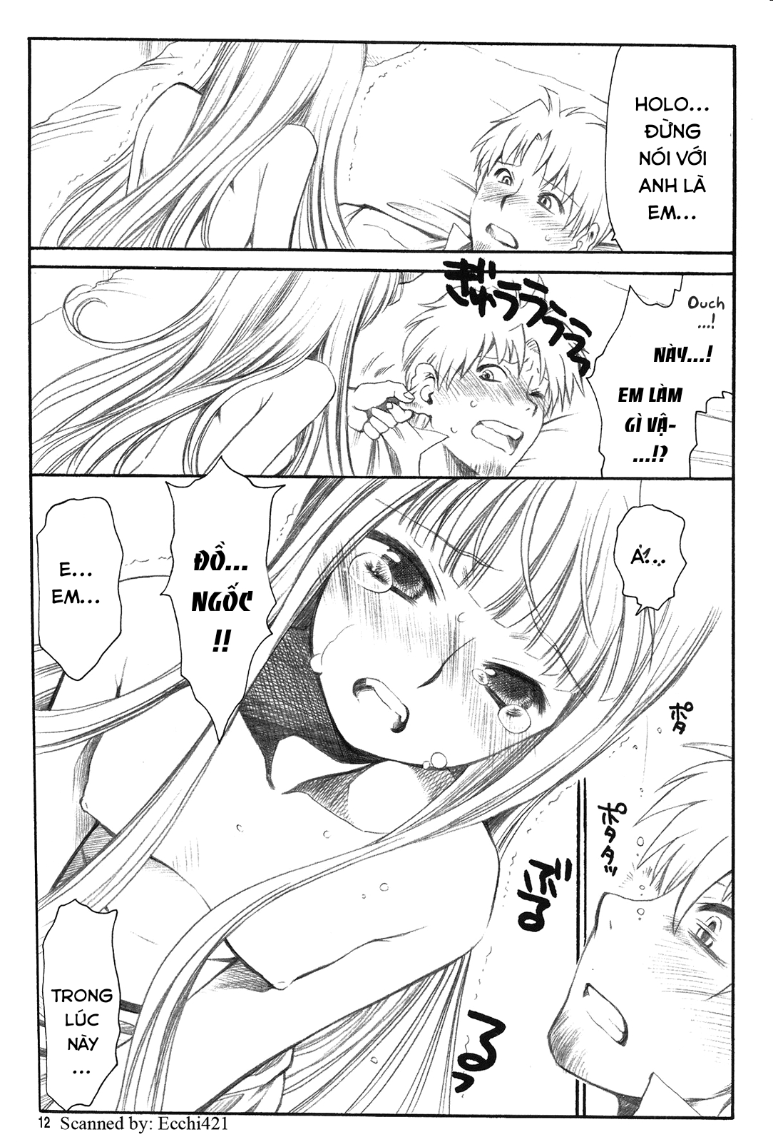 Đọc truyện hentai Shiawase o Ushinau Naraba Kinyoku Nado Gu no Kocchou (Sói và gia vị) - Oneshot