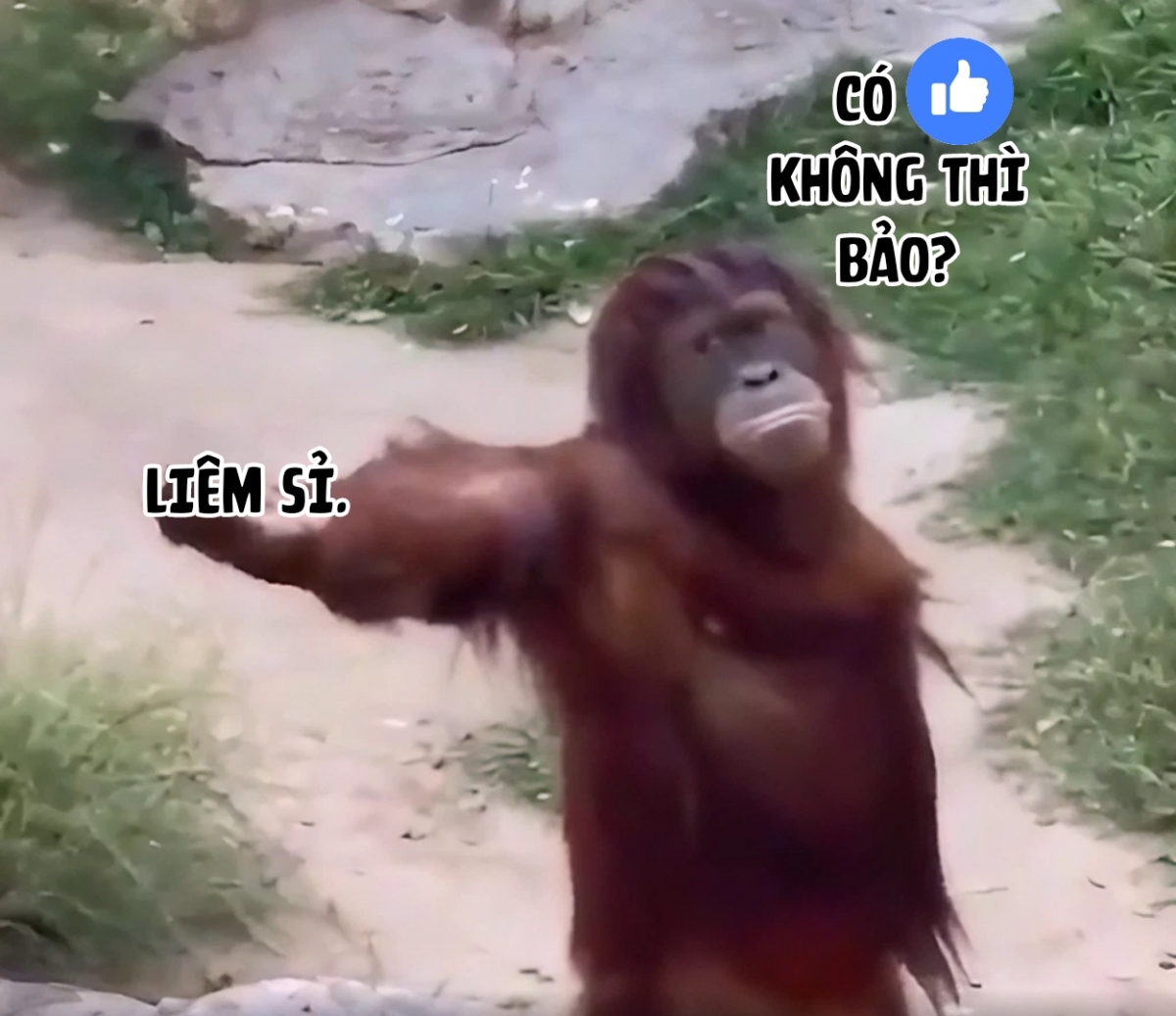 Đọc truyện hentai Một bộ sưu tập sách về cách tận hưởng con gái ở nơi làm việc của bạn. - Chap 1