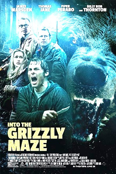 Trong Mê Cung Gấu Xám