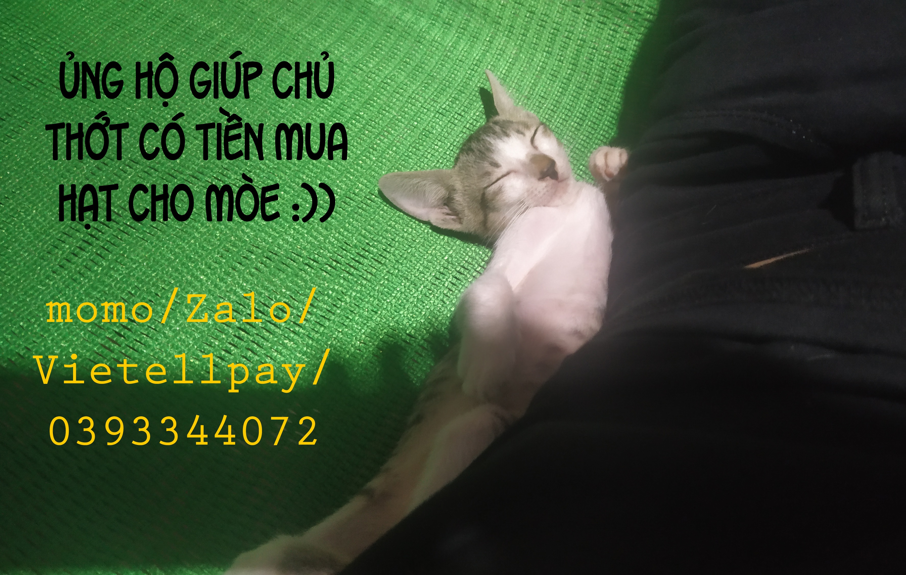 Đọc truyện hentai tapestry-chúng ta đâu phải anh em? - Chap 2