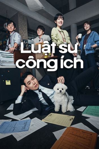 Luật Sư Công Ích