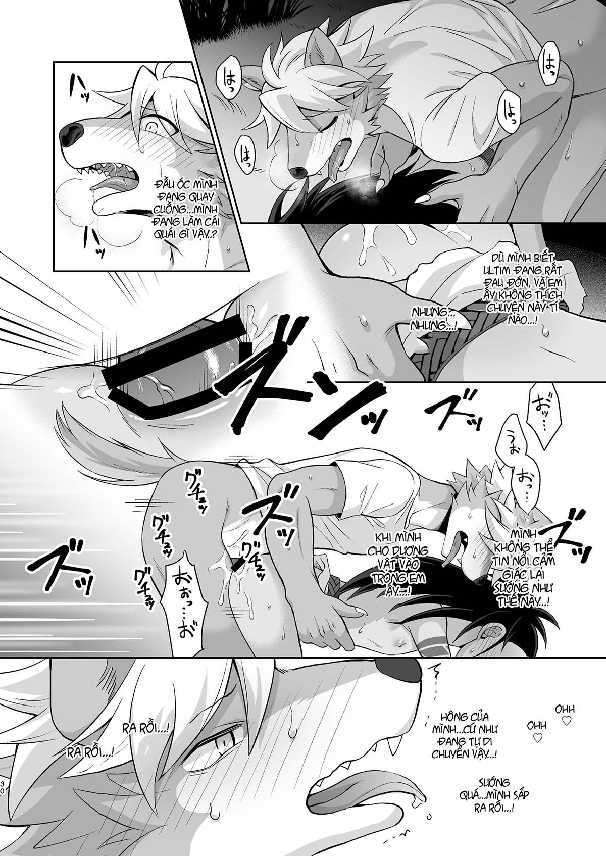 Đọc truyện hentai Sự ghép đôi giữa người và sói - Oneshot