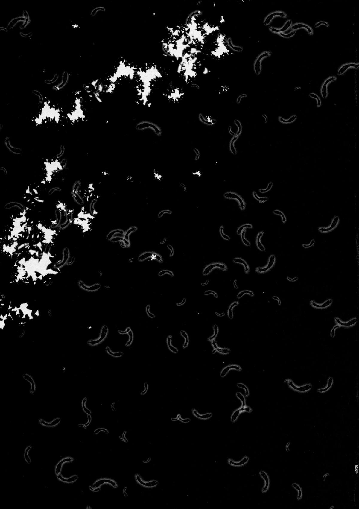 Đọc truyện hentai HAPPY END - Oneshot