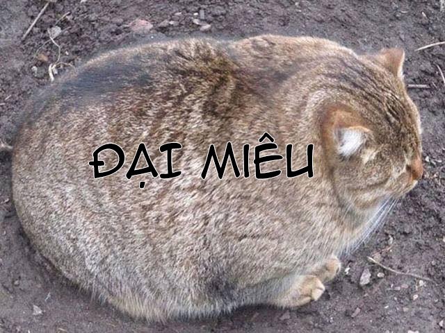 Đọc truyện hentai Hai ông anh rủ nhau làm thịt tôi! - Chapter 11: Ryu có bạn gái rồi ư •_•