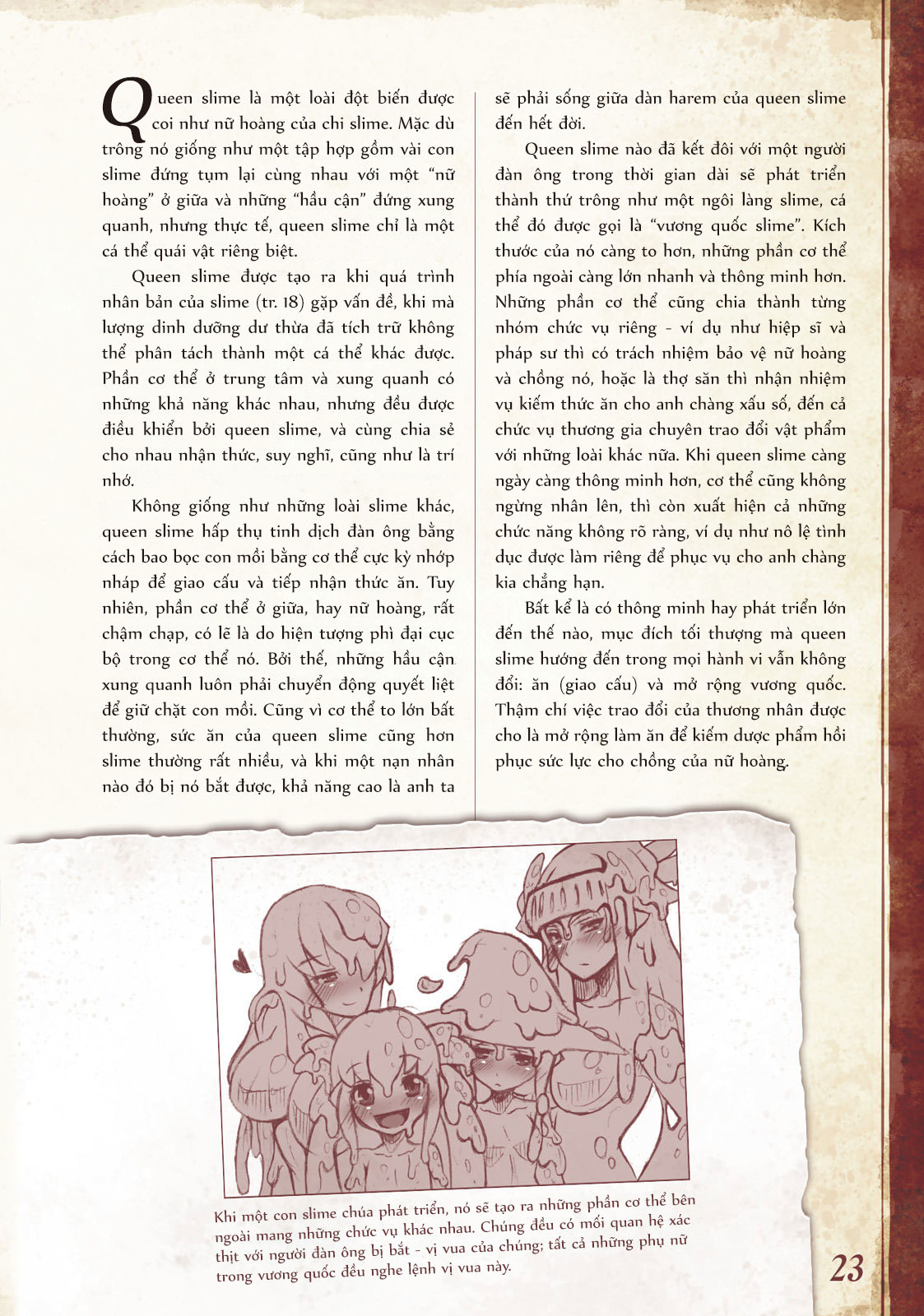 Đọc truyện hentai Bách khoa toàn thư Monstergirl - 003 - 004 - 005: Slime, Red slime và Queen slime