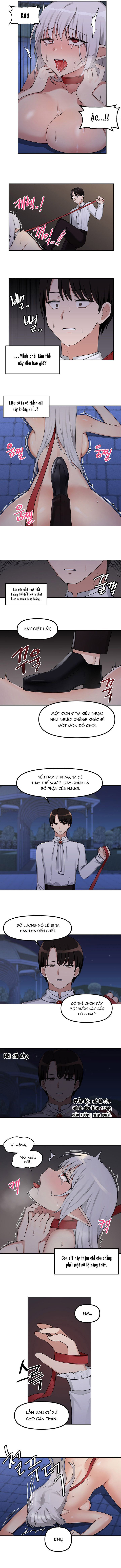 Đọc truyện hentai Ả Elf Thích Bị Sỉ Nhục - Chap 3