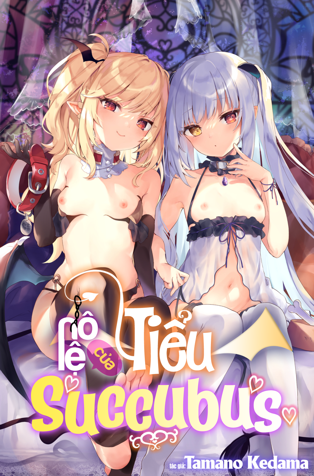 Đọc truyện hentai Nô Lệ Của Tiểu Succubus - Chap 2