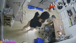(Hack Cam) Tại Nhà Của Chị Họ, Thấy Body Của Chị Ngon Vãi ((Hack Cam) Tại Nhà Của Chị Họ, Thấy Body Của Chị Ngon Vãi) []