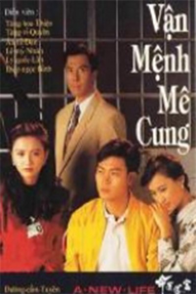 Vận Mệnh Mê Cung