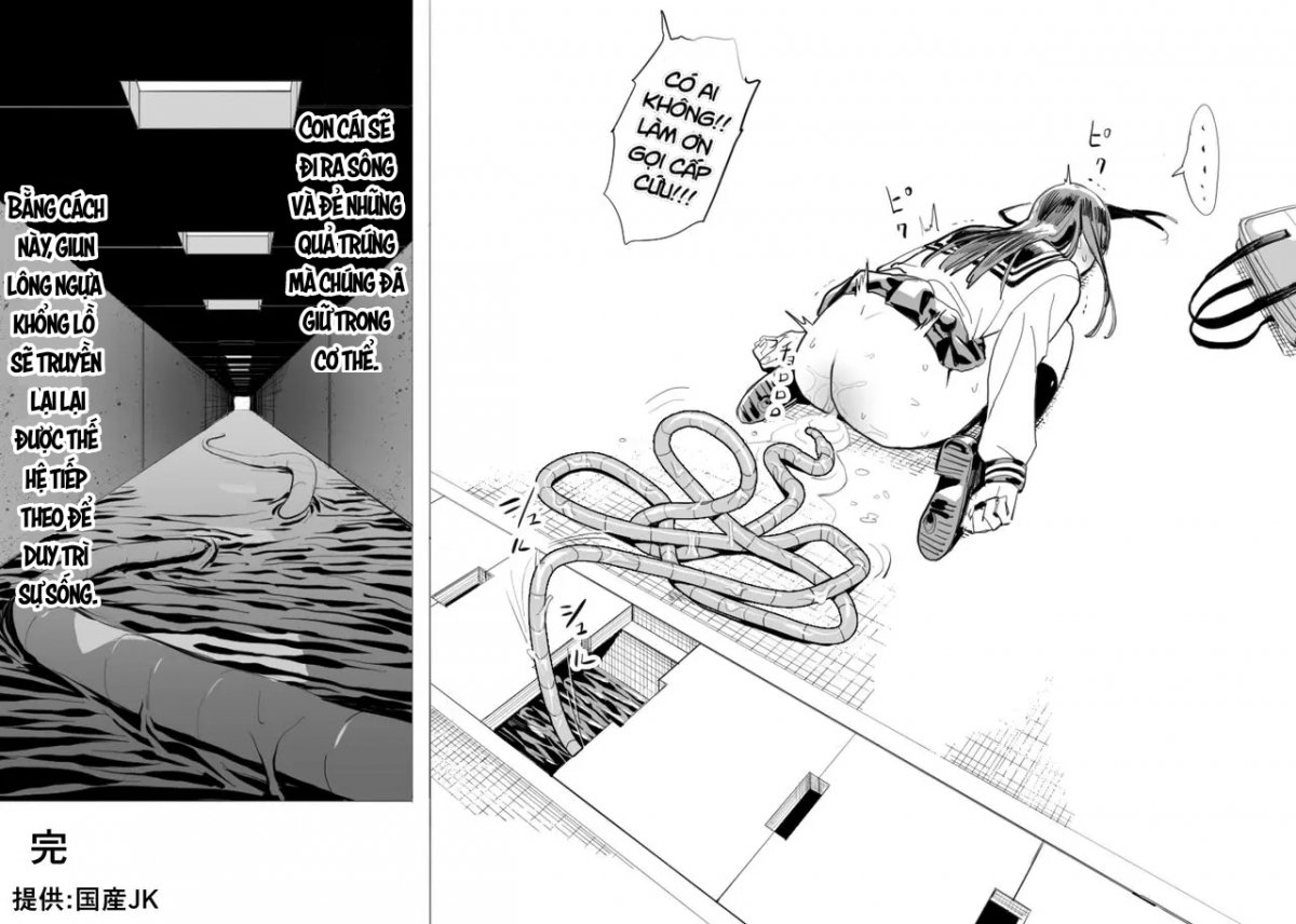 Đọc truyện hentai Vòng đời của giun lông ngựa khổng lồ - Oneshot