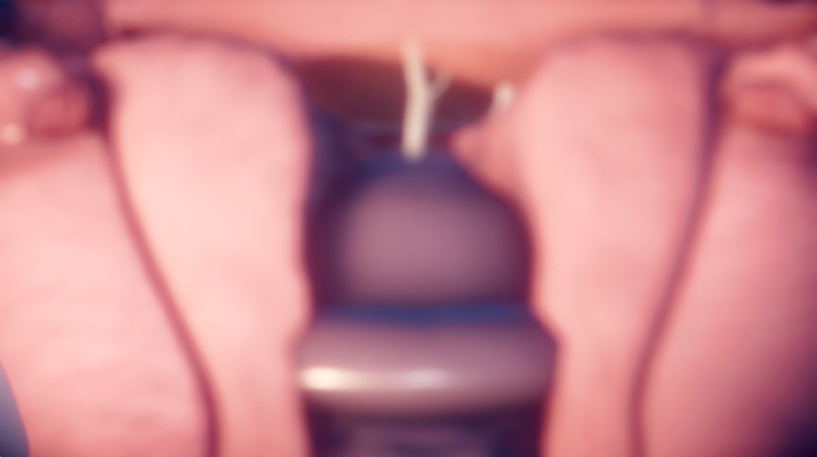 Đọc truyện hentai Tiểu sử của Chen Qiaoan Chương cuối - Chap 6