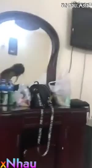Gái gọi cưỡi con cặc khủng nát cả lồn (Gái gọi cưỡi con cặc khủng nát cả lồn) [26]