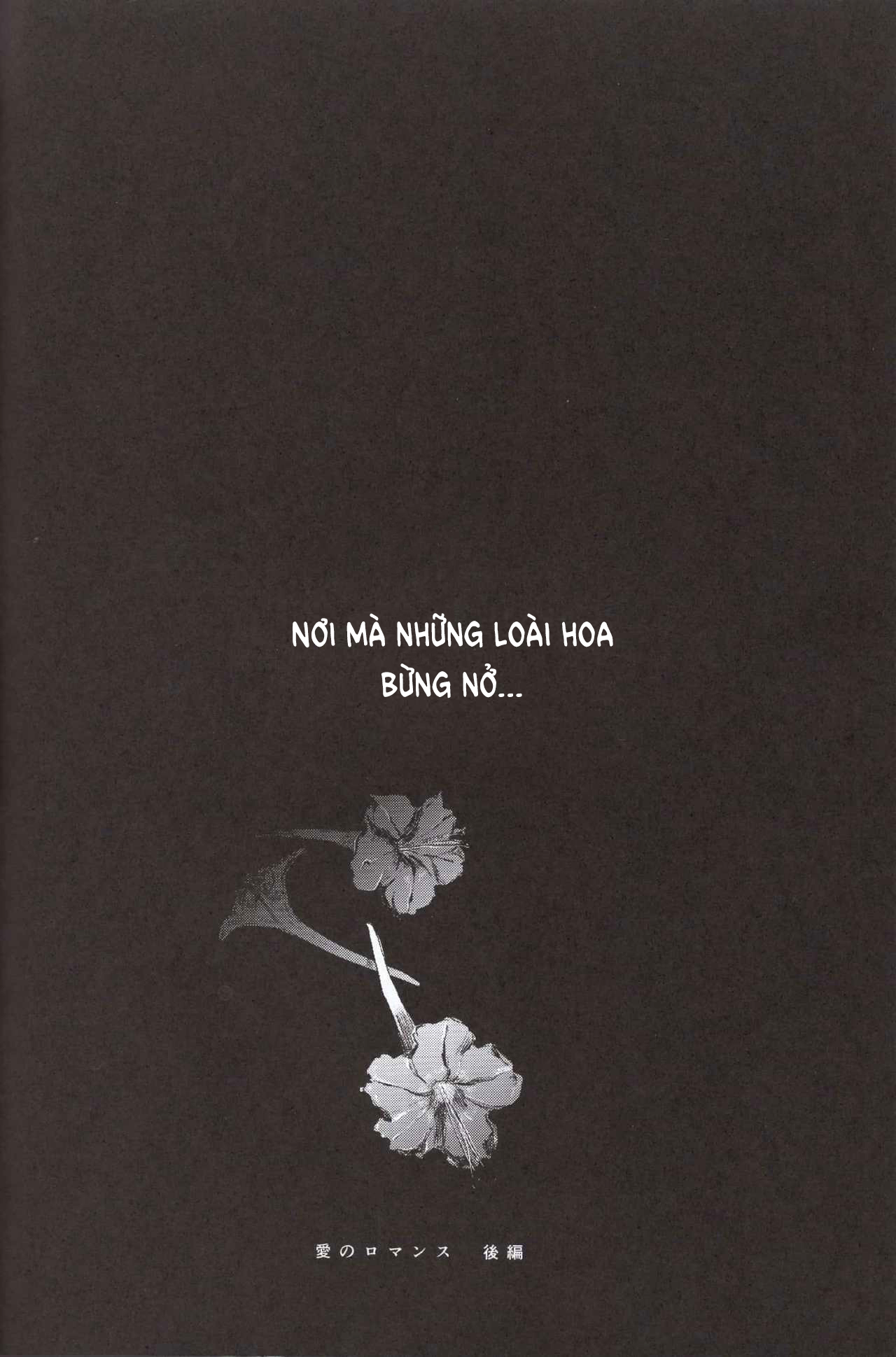 Đọc truyện hentai Bản tình ca lãng mạn. - Chap 2 [by Touka, ChimChim]