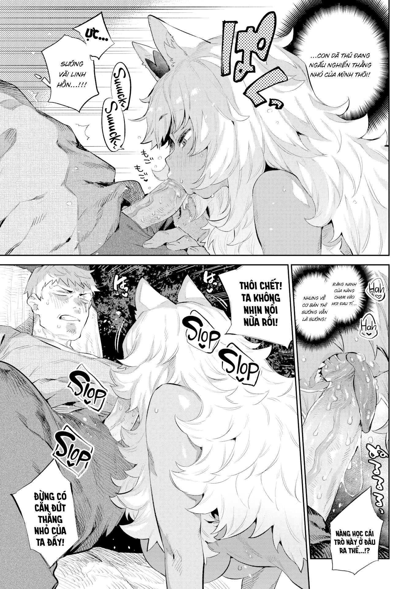 Đọc truyện hentai Otherworldly Maidens Series - The Adventurers Path to Love Is an Animal Trail