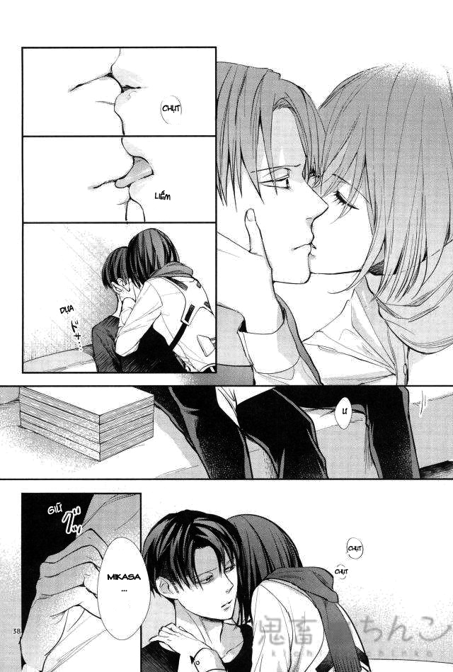 Đọc truyện hentai Ánh sáng phía bên kia (Shingeki no Kyojin) - Oneshot