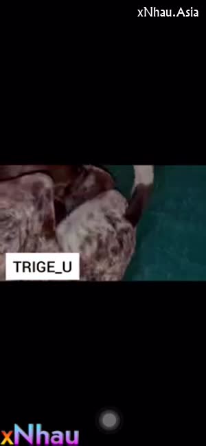 Sưu tầm 1 2 (Sưu tầm 1 2) []