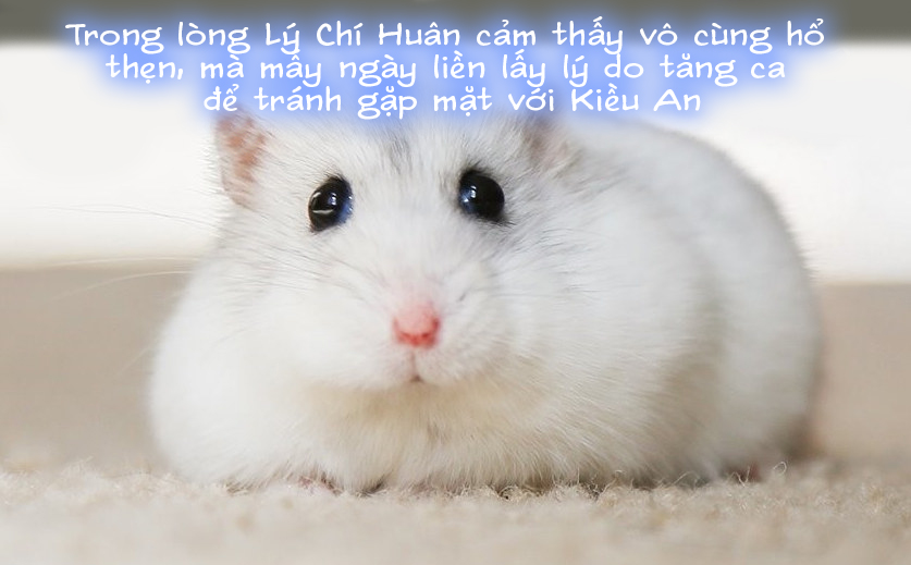 Đọc truyện hentai Tiểu sử của Chen Qiaoan Chương cuối - Chap 6