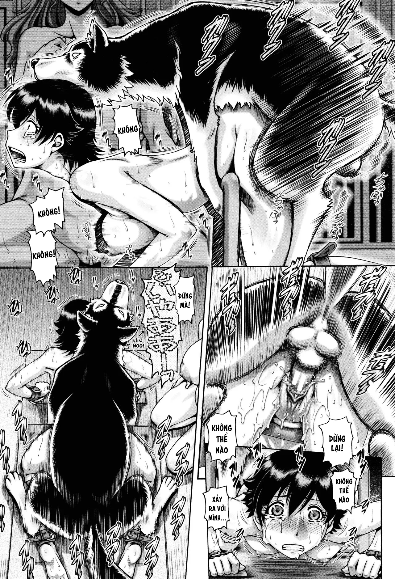 Đọc truyện hentai Hình ảnh nữ gia súc bị cấm - Oneshot