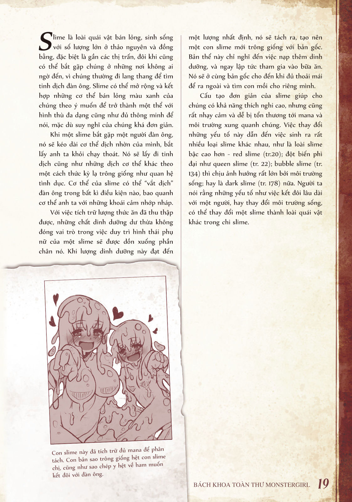Đọc truyện hentai Bách khoa toàn thư Monstergirl - 003 - 004 - 005: Slime, Red slime và Queen slime