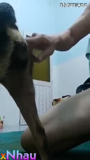 Trung niên quan hệ với chó phê tận óc (Trung niên quan hệ với chó phê tận óc) []