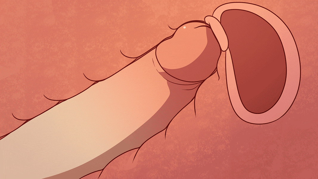 Đọc truyện hentai Written In The Stars - Oneshot