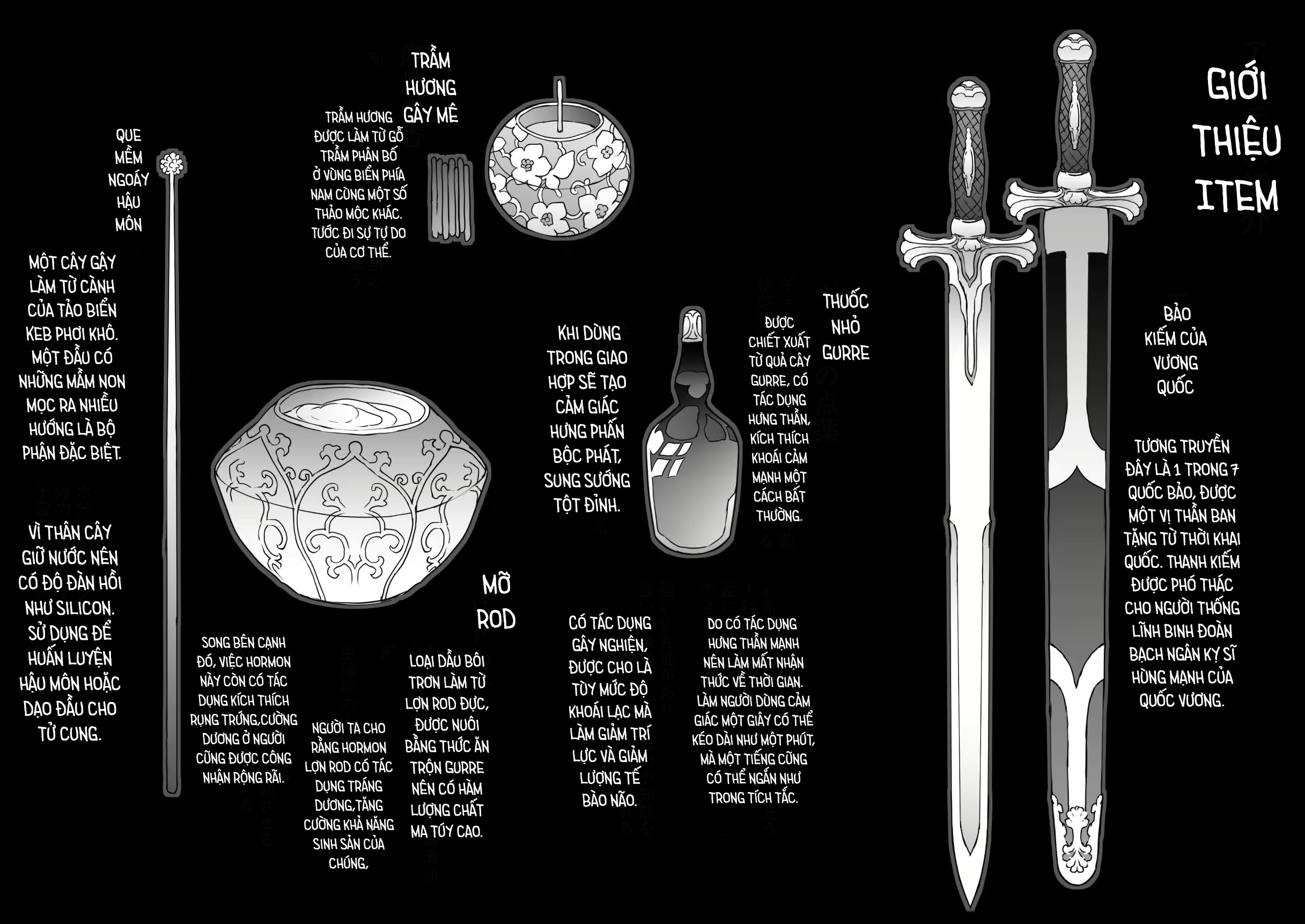 Đọc truyện hentai Người sẽ trở thành vua Kỷ lục huấn luyện công chúa vua - Chap 2