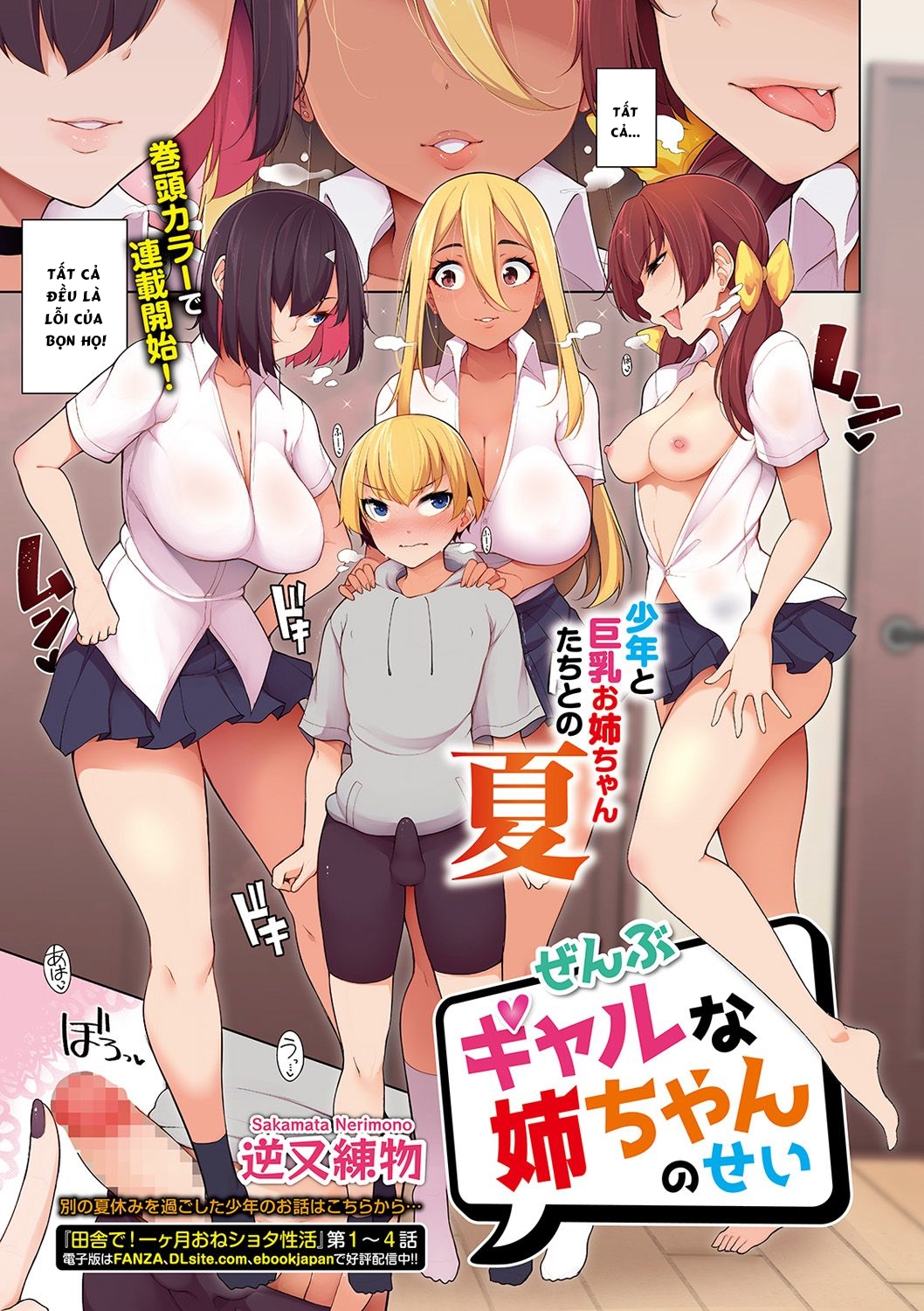 Đọc truyện hentai Zenbu Gal na Nee-chan no Sei - Chap 1