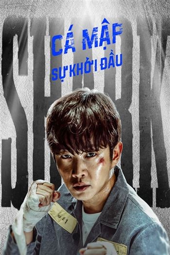 Cá Mập Sự Khởi Đầu